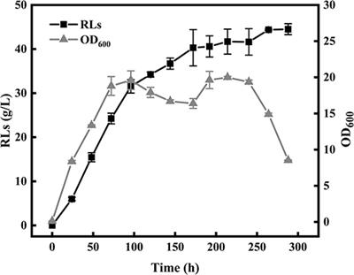 High Di-rhamnolipid Production Using Pseudomonas aeruginosa KT1115, Separation of Mono/Di-rhamnolipids, and Evaluation of Their Properties